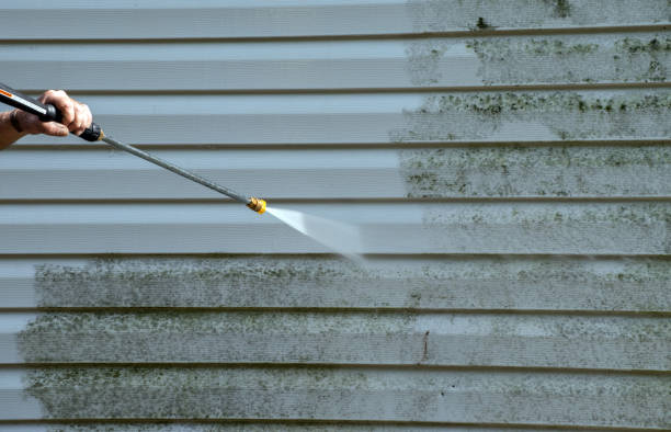 Solar Panel Cleaning in Dexter, MO
