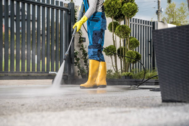 Best Fence Cleaning  in Dexter, MO